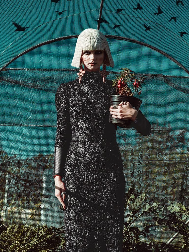 Look 5 1