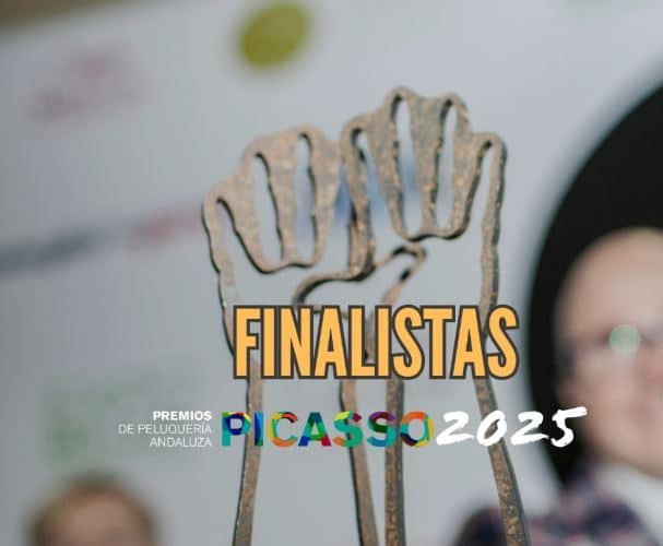 premios picasso 2025