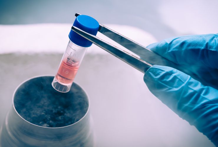 Células madre para el cabello: todos los beneficios Diseno sin titulo 3 24 celulas madre vegetales pelo